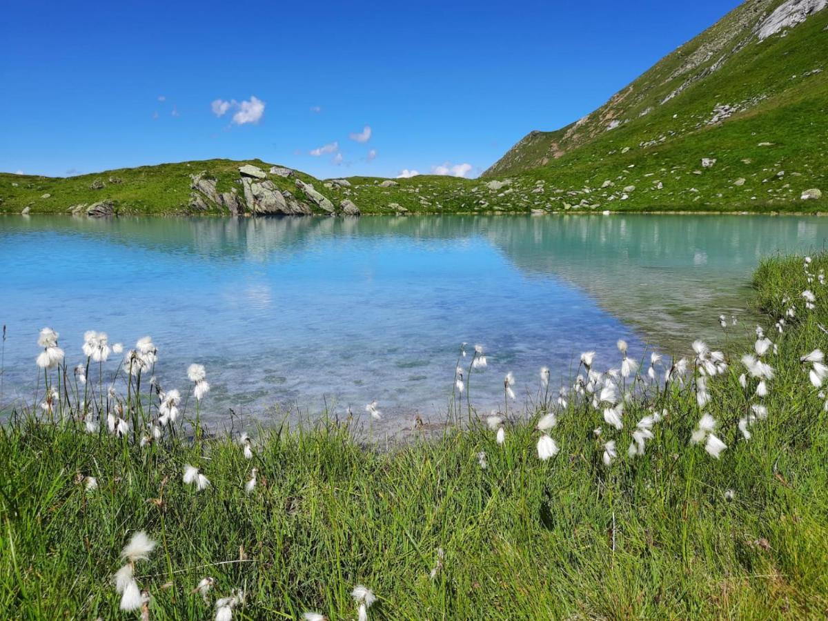 Appartement Alpenglück Aich  Buitenkant foto