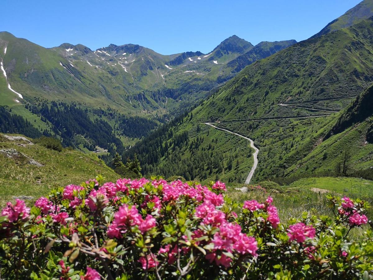 Appartement Alpenglück Aich  Buitenkant foto