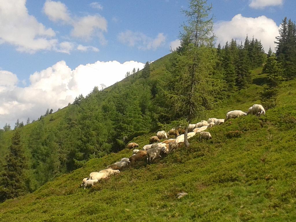 Appartement Alpenglück Aich  Buitenkant foto