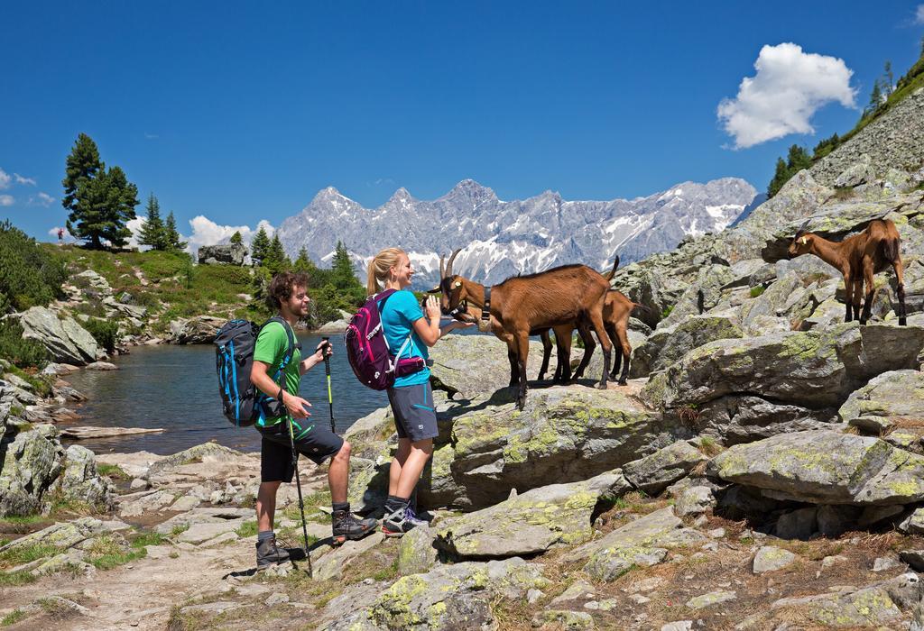 Appartement Alpenglück Aich  Buitenkant foto